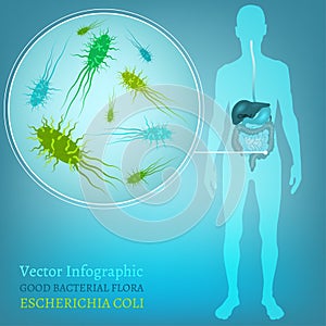 Vector Bacteria Flora