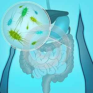 Vector Bacteria Flora