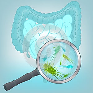 Vector Bacteria Flora