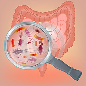 Vector Bacteria Flora