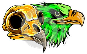 Vector Bald Eagle or Hawk Head Mascot Graphic