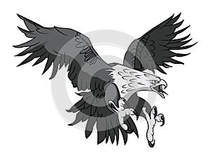 Vector Bald Eagle or Hawk Head Mascot Graphic