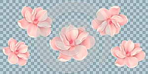 Vector Bali flowers border isolated on transparency grid background
