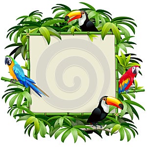 Vector Bamboo Frame with Tropics Birds