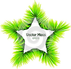 Vector Bamboo Leaf or Moss Wreath - Five Finger Isolated Herbal Frame