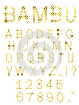 Vector bamboo stick abc alphabet