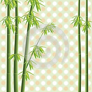 Bambú un árbol 