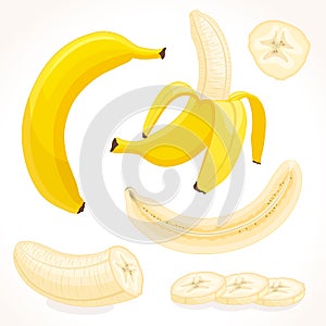 Vector banana. Sliced, whole, half banana.