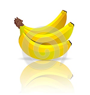 Vector bananas photo