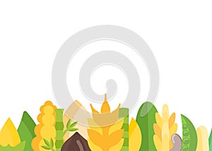 Vector Banner of Cereals and Beans.