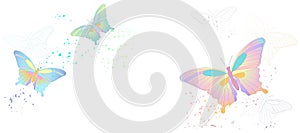 Vector banner with flying butterflies isolated on white