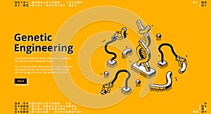 Vector banner of genetic engineering