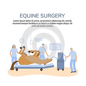 a vector banner of horse colics surgery