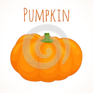 Vector banner with the image of the whole pumpkin.