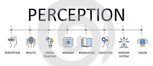 Vector banner perception. Editable stroke infographics icons for web. Knowledge sensory system understanding reality cognition