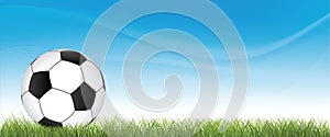 Vector banner of soccer ball on green grass. Football concept illustration.