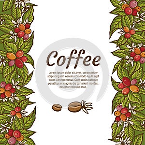 Vector banner template with branches of coffee tree with flowers, leaves, berries and beans. Border coffee plant