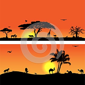 Vector banners with African fauna and flora