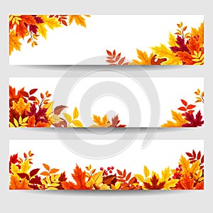 Vector banners with colorful autumn leaves.