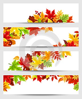 Vector banners with colorful autumn leaves.