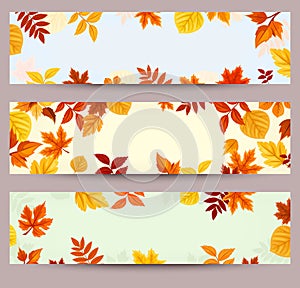 Vector banners with colorful autumn leaves.