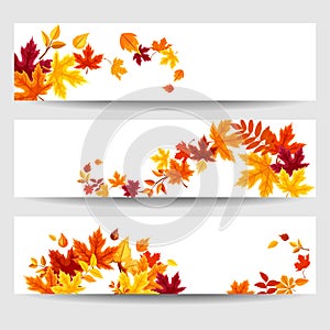 Vector banners with colorful autumn leaves.