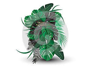 Vector banners set with green tropical leaves on black background. Exotic botanical design for cosmetics, spa, perfume