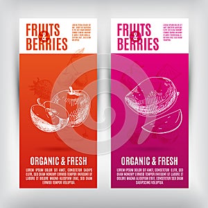 Vector banners set with hand drawn fruits .Fruits