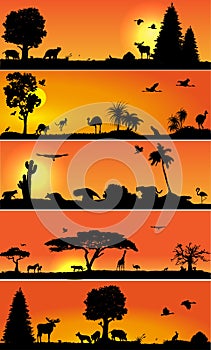 Vector banners with wold fauna and flora