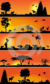 Vector banners with wold fauna and flora photo