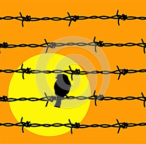 Vector barbed wire prison boundary, sun and bird