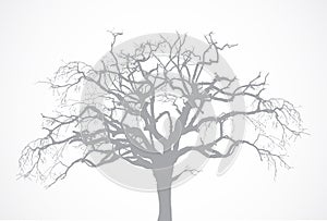 Vector bare old dry dead tree silhouette without l