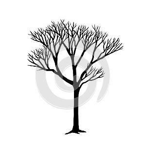 Vector bare tree illustration