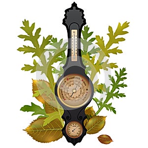 Vector barometer with leaves