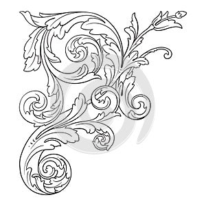 Vector baroque ornament in victorian style photo