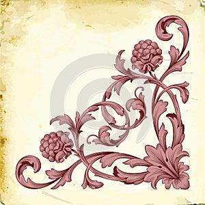 Vector baroque of vintage elements for design.