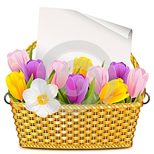 Vector Basket with Tulips