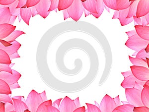 Vector batanical with lotus on white background