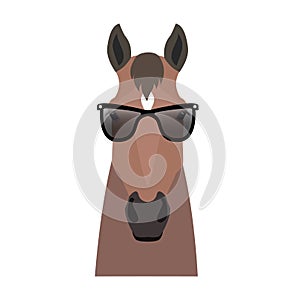 Vector bay brown color flat style horse head in sunglasses