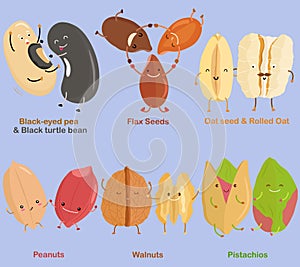 Vector of Bean, Nut, Seed - Black-eyed pea, Black turtle bean, Flax Seed, Oat seed,  Rolled Oat, Peanut, Walnut, Pistachio