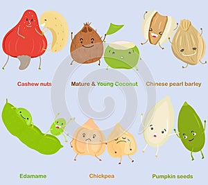 Vector of Bean, Nut, Seed - Cashew nut, Coconut, Chinese pearl barley, Edamame, Chickpea, Pumpkin seeds