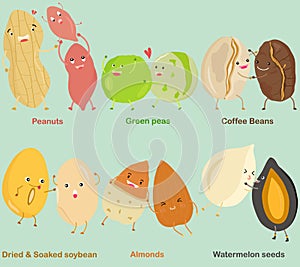 Vector of Bean, Nut, Seed - Peanut, Green pea, Coffee Bean, Soybean, Almond, Watermelon seed