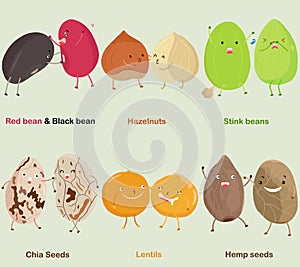 Vector of Bean, Nut, Seed - Red bean, Black bean, Hazelnut, Stink bean, Chia Seed, Lentil, Hemp seed