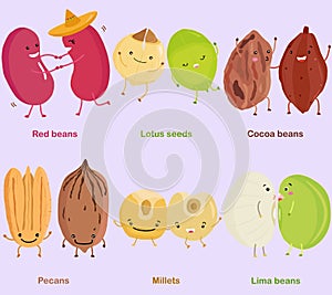 Vector of Bean, Nut, Seed - Red bean, Lotus seed, Cocoa bean, Pecan, Millet, Lima bean.