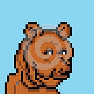 Vector bear character with pixel art