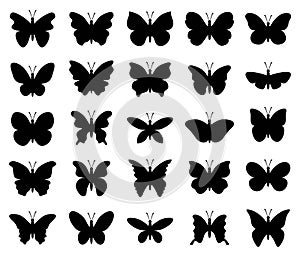 Vector beautiful butterfly insect icons isolated on white background. silhouette of tropical butterflies. summer nature