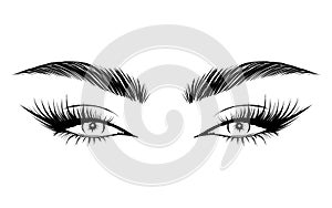 Vector Beautiful Female Eyes with Long Black Eyelashes and Brows close up. Makeup, beauty salon symbol. Woman Lashes