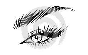 Vector Beautiful Female Eyes with Long Black Eyelashes and Brows close up. Makeup, beauty salon symbol. Woman Lashes