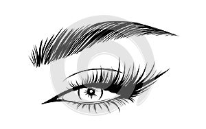 Vector Beautiful Female Eyes with Long Black Eyelashes and Brows close up. Makeup, beauty salon symbol. Woman Lashes