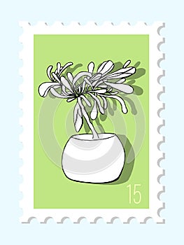 Vector beautiful hand drawn green post stamp. Modern vector isolated post stamp design. Vector illustration home plant black and